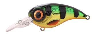 0001_Spro_Fat_Iris_50_CR_[Perch].jpg